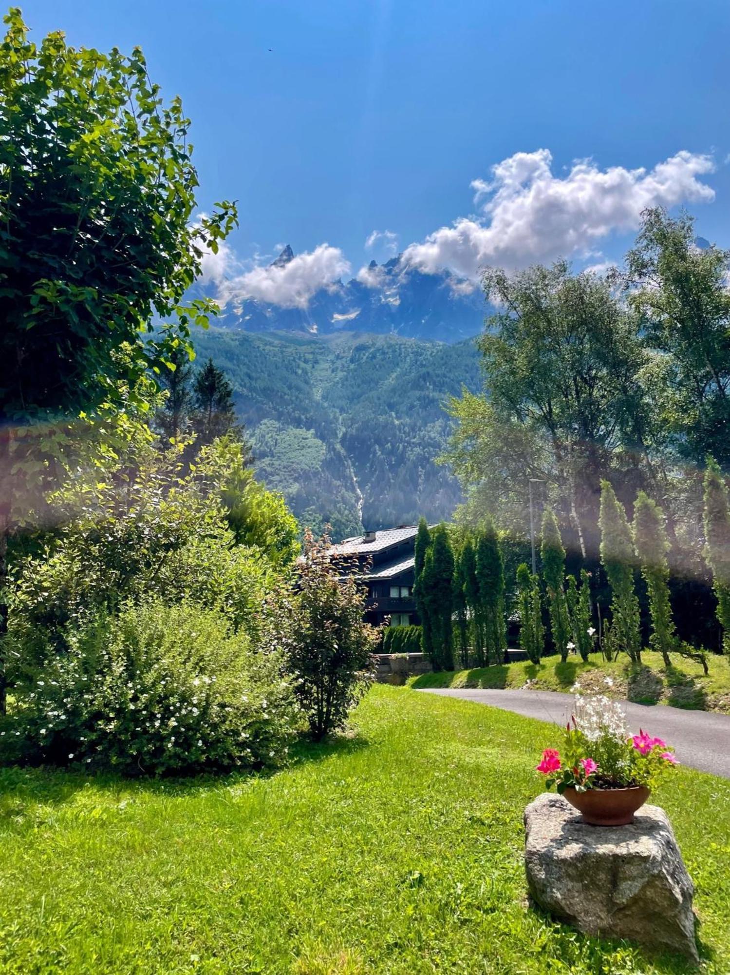 Chalet Hotel La Sapiniere Chamonix Eksteriør billede