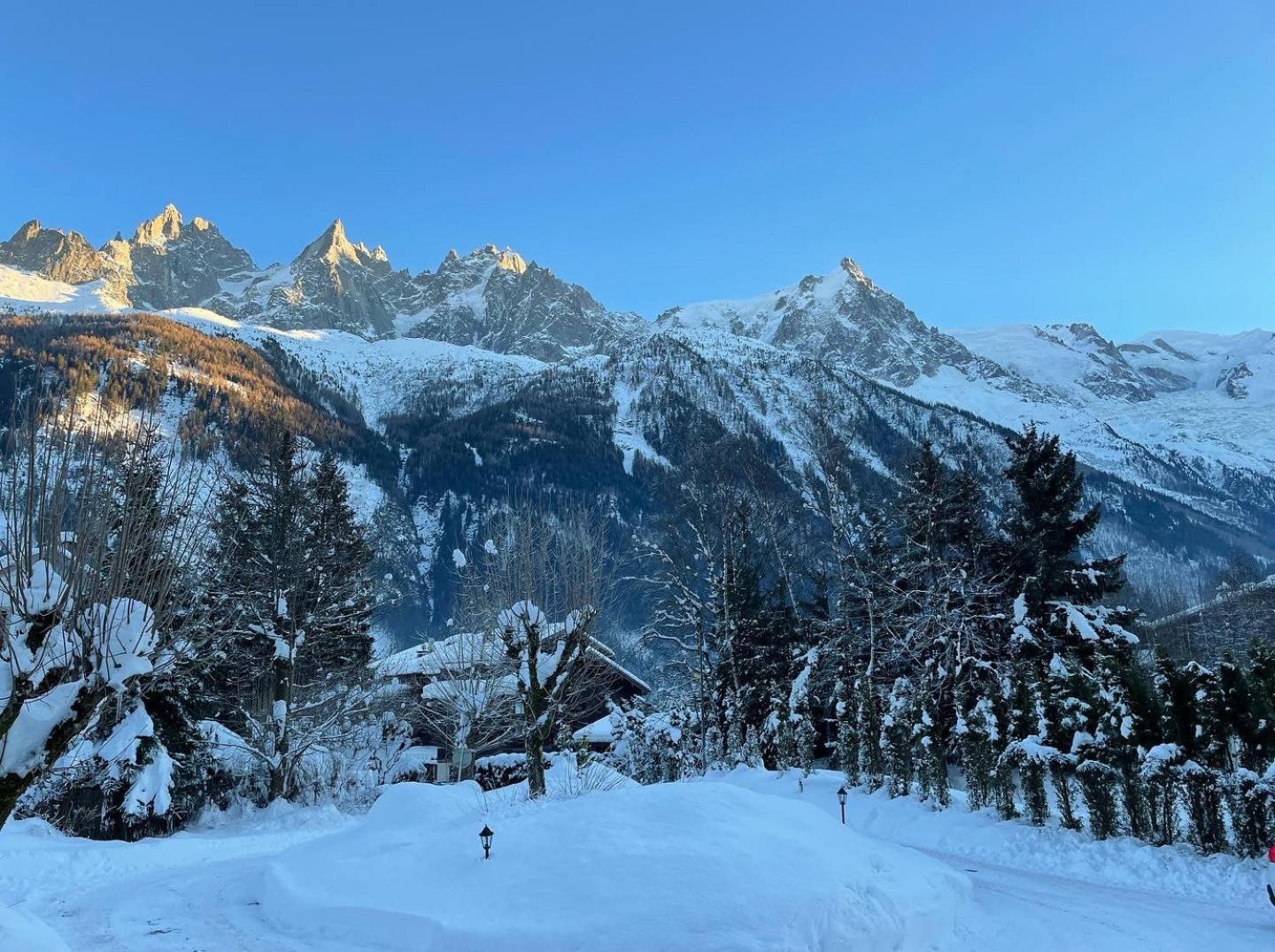 Chalet Hotel La Sapiniere Chamonix Eksteriør billede